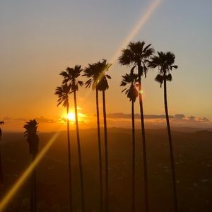 Meet your Posher, Callie